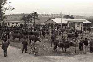 [NSP PHOTO]수원박물관, 1970년대 수원시민의 삶 틈새전 개최