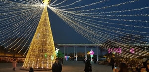 [NSP PHOTO]순천만국가정원 별빛축제...특별한 겨울밤 추억 선사