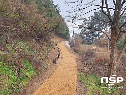 [NSP PHOTO]정읍시, 왕솔밭 산책로 조성사업 완료