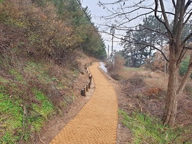 [NSP PHOTO]정읍시, 왕솔밭 산책로 조성사업 완료