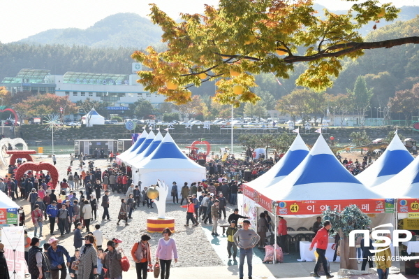 NSP통신-청송사과축제가 2020~2021년도 대한민국 대표축제인 문화관광축제로 선정됐다 (청송군)