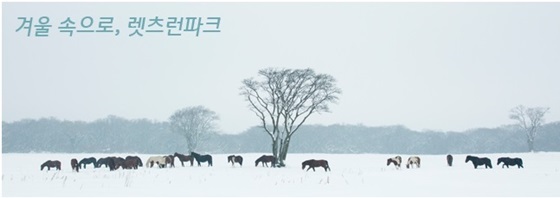 [NSP PHOTO]한국마사회·기수협회, 경마제도 개선 합의사항 이행 돌입