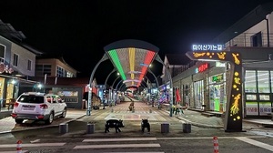 [NSP PHOTO]진안 마이산, 야간 관광명소로 변신