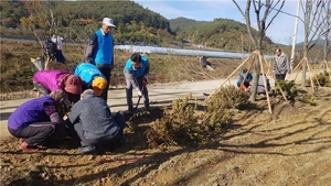 [NSP PHOTO]순천시, 2020년 반려나무숲 조성사업 공모