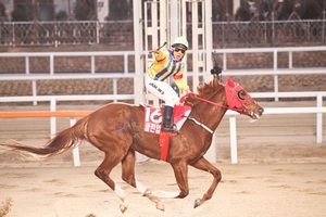 [NSP PHOTO]경마단신한국마사회 함완식 경마 기수 700승 달성 외