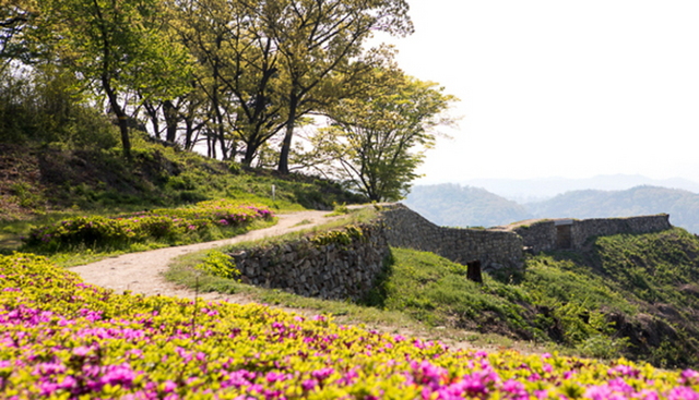 NSP통신-다양한 꽃들로 옷을 갈아입은 독산성의 봄 풍경. (오산시)