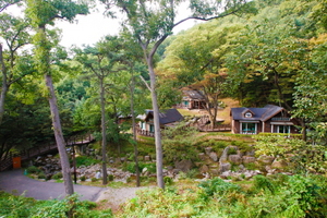 [NSP PHOTO]용인자연휴양림, 시설 이용료 감면 대상 확대