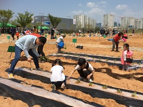 [NSP PHOTO]나주시,  빛가람 공원텃밭 운영 단체 모집