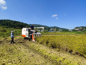[NSP PHOTO]경기도, 2018년산 쌀 변동직불금 설연휴 전 지급