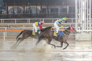 [NSP PHOTO]한국마사회, 2월 서울 경마시행계획 발표