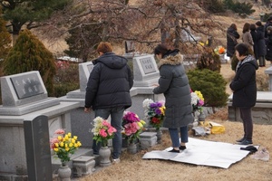 [NSP PHOTO]설 풍경 서울공원묘지 성묘객들 조상의 넋 기려