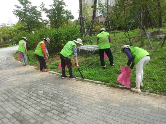 NSP통신-성남시 어르신 소일거리 사업 환경 정비 분야에 참여한 어르신들 모습. (성남시)