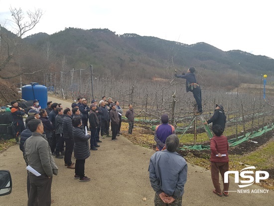 NSP통신-곡성군이 지난 28일 개최한 사과 동계전정 현장교육. (곡성군)