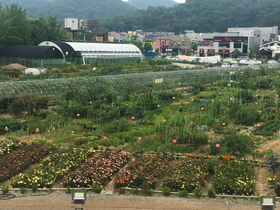 [NSP PHOTO]광명시, 시민주말농장 참여 가족 및 단체 모집