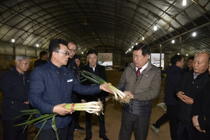 [NSP PHOTO]진도군, 겨울대파 재배농가 현장 간담회 개최