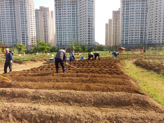 NSP통신-도시농업공원 시민공동체텃밭. (시흥시)