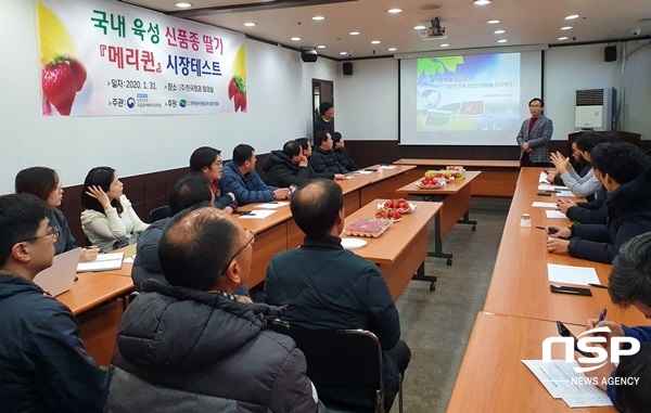 NSP통신-담양군이 육성한 신품종 딸기 메리퀸에 대한 홍보활동. (담양군)