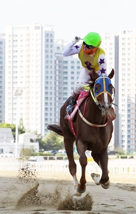 NSP통신-파이널보스 경주 모습. (한국마사회)