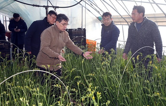NSP통신-▲ 서천군이 화훼 농가를 위해 꽃 소비 활성화 사업에 힘을 모으고 있다. (서천군)
