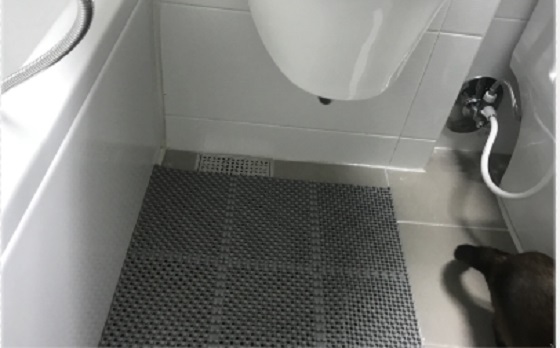 NSP통신-▲논산시가 관내 모든 경로당 화장실에 안전시설을 설치한다. (논산시)