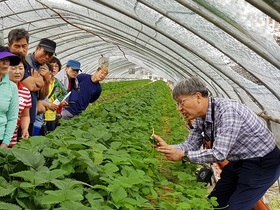 [NSP PHOTO]전주시, 농업인대학 박과채소 과정 교육생 모집