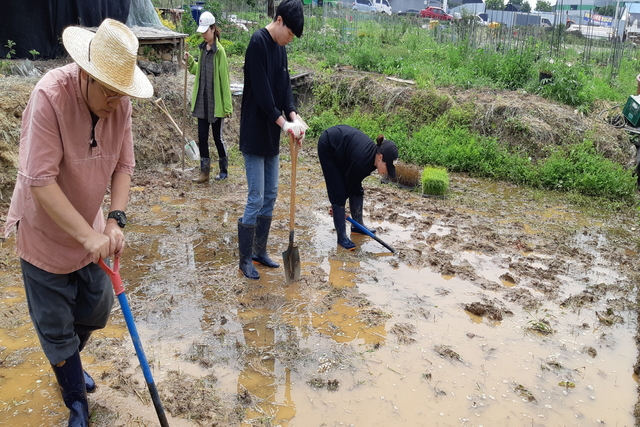 NSP통신-2019년 도시농부학교 수업 모습. (광명시)