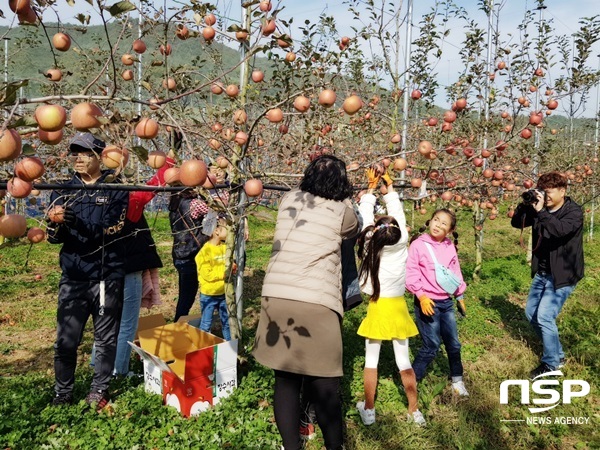 -장성군 삼서면 드림빌사과테마공원마을. (장성군)