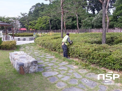 [NSP PHOTO]진안군, 아름다운 가로경관 조성 최선