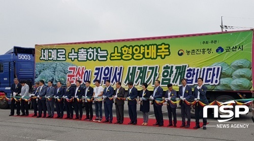 [NSP PHOTO]군산시, 꼬꼬마양배추 수출 전략품목 육성 박차