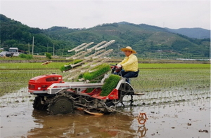 [NSP PHOTO]광양시, 친환경농업 직불제 지속 추진