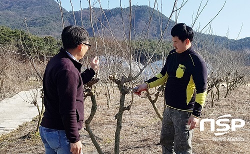 [NSP PHOTO]정읍시, 봄철 생육기 베리류 현장 기술지원 강화