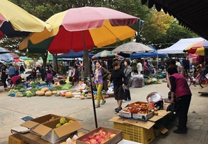 [NSP PHOTO]담양군, 오는 6월까지 전통시장 사용료 전액 감면