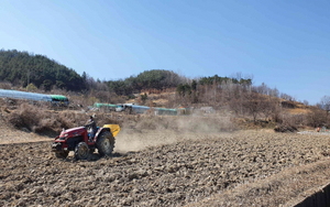 [NSP PHOTO]성주군, 토양개량제 규산질비료 살포