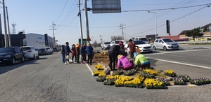 [NSP PHOTO]영암군 신북면 생활개선회, 새봄맞이 봄꽃식재