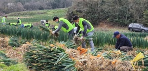 [NSP PHOTO]전남농협, 농촌 인력부족 해결 역량 결집