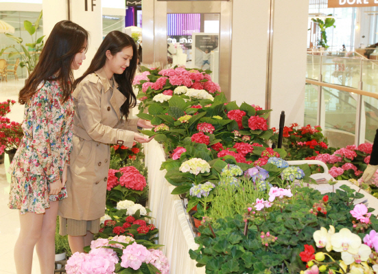 NSP통신-롯데몰 수지 직원들이 화훼 농가 판매 스토어에서 꽃을 바라보고 있다 (롯데자산개발 제공)