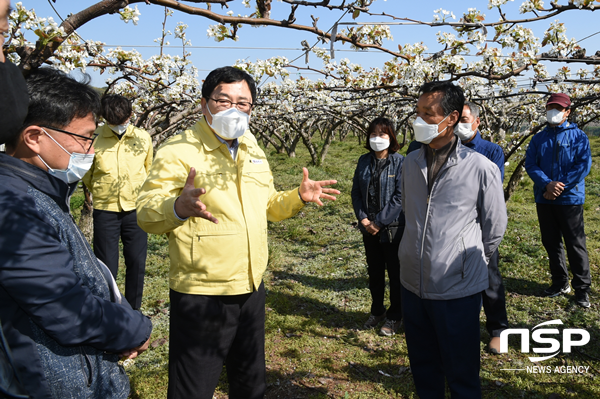 NSP통신-주낙영 시장 배 과수 농가 배꽃 피해 상황 점검 모습. (경주시)