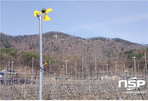 [NSP PHOTO]진안군, 사과 저온피해 대책 추진