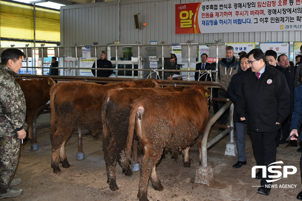 NSP통신-주낙영 경주시장 신년 가축시장 방문 모습. (경주시)