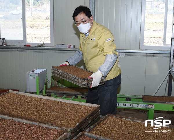 NSP통신-주낙영 경주시장이 14일 현곡면 하구리에 위치한 현곡농기계작목반 공동육묘장에서 무복토 못자리 파종 작업에 참여하고 있다. (경주시)