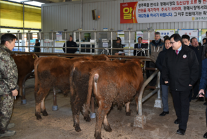 [NSP PHOTO]경주시, 경주 가축시장 코로나19 임시 휴장 해제 재개장