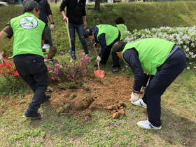 [NSP PHOTO]구미시, 행복홀씨 입양사업 대상지 43개 구역 선정