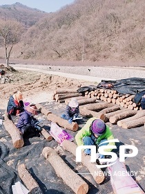 [NSP PHOTO]진안군, 작목별 맞춤형 안전관리 실천시범 호응