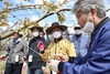 [NSP PHOTO]박상돈 천안시장, 배 재배농가 찾아 일손돕기