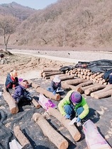 [NSP PHOTO]진안군, 작목별 맞춤형 안전관리 실천시범 호응