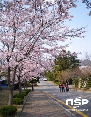 NSP통신-2008년도 교내사진공모전 은상작 (순천대학교)