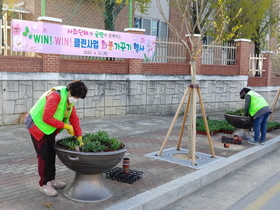 [NSP PHOTO]의성군, 윈윈클린사업 으로 봄기운 담은 시가지 꽃길 조성