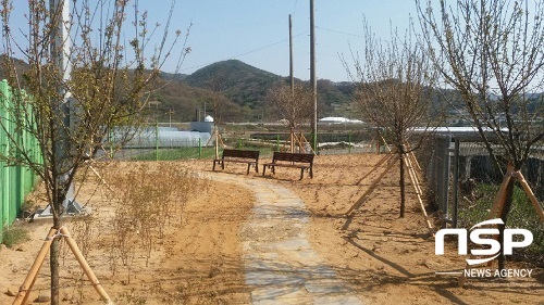 [NSP PHOTO]진안군, 학교 내 명상숲 조성