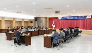 [NSP PHOTO]김포시, 문화도시 조성계획 수립 중간보고회 개최