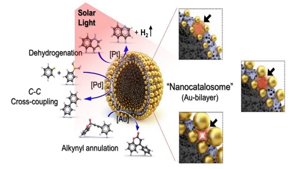 NSP통신-나노카탈라좀을 이용한 태양광-유도 화학반응 (포스텍)